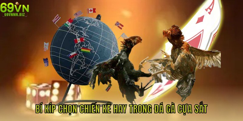 Bí kíp chọn chiến kê hay trong đá gà cựa sắt