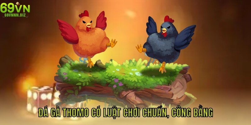 Đá gà Thomo có luật chơi chuẩn, công bằng