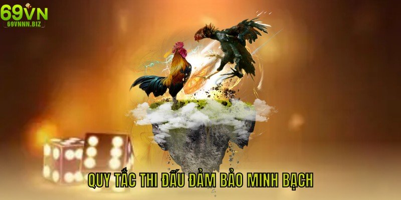Quy tắc thi đấu đảm bảo minh bạch, công bằng của đá gà cựa dao